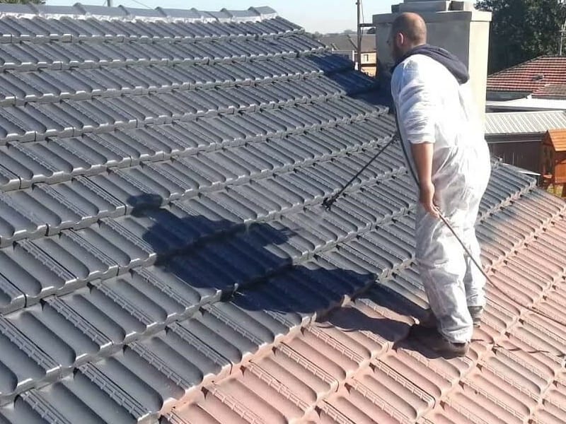 roof painters