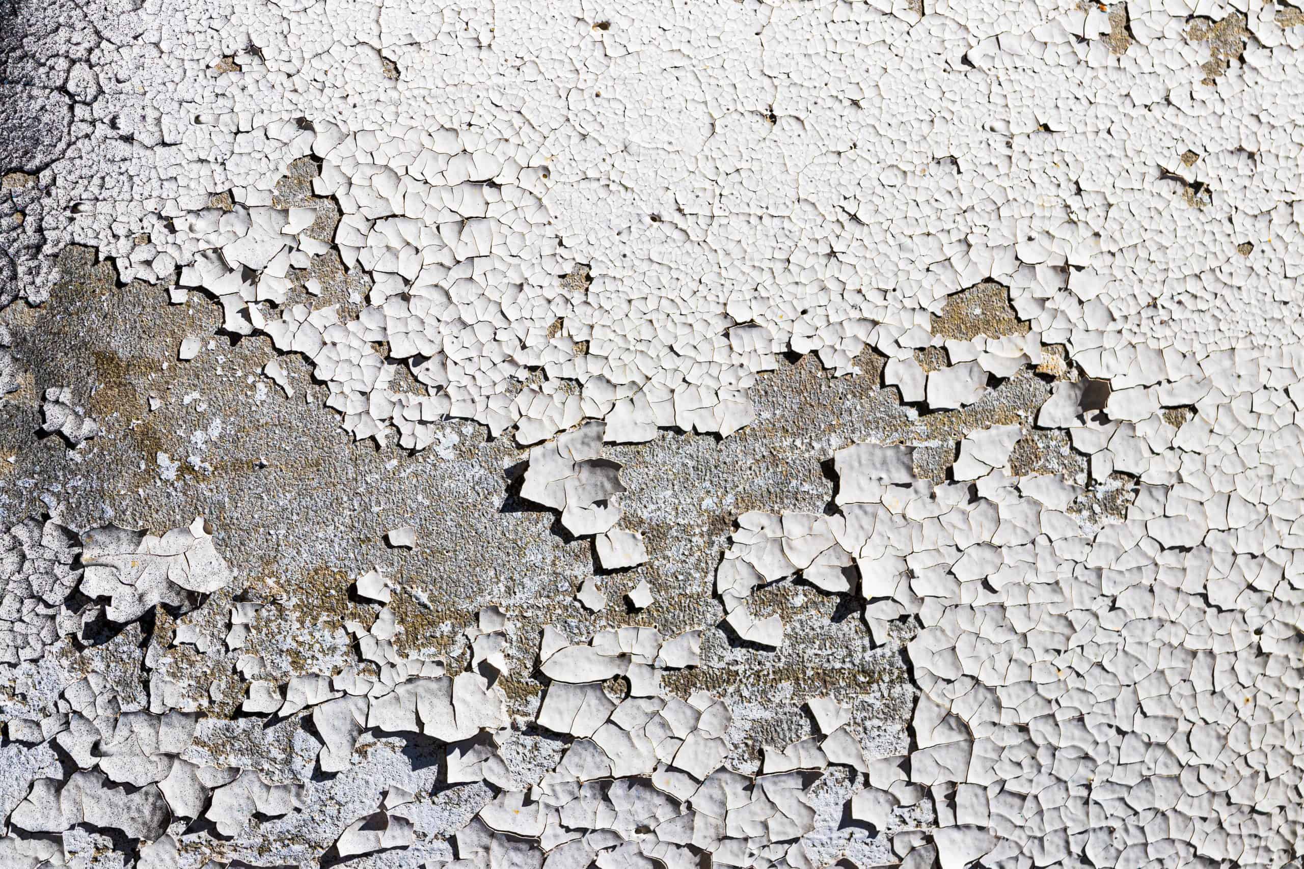 Peeling exterior paint and damp wall damage on a Bellville
